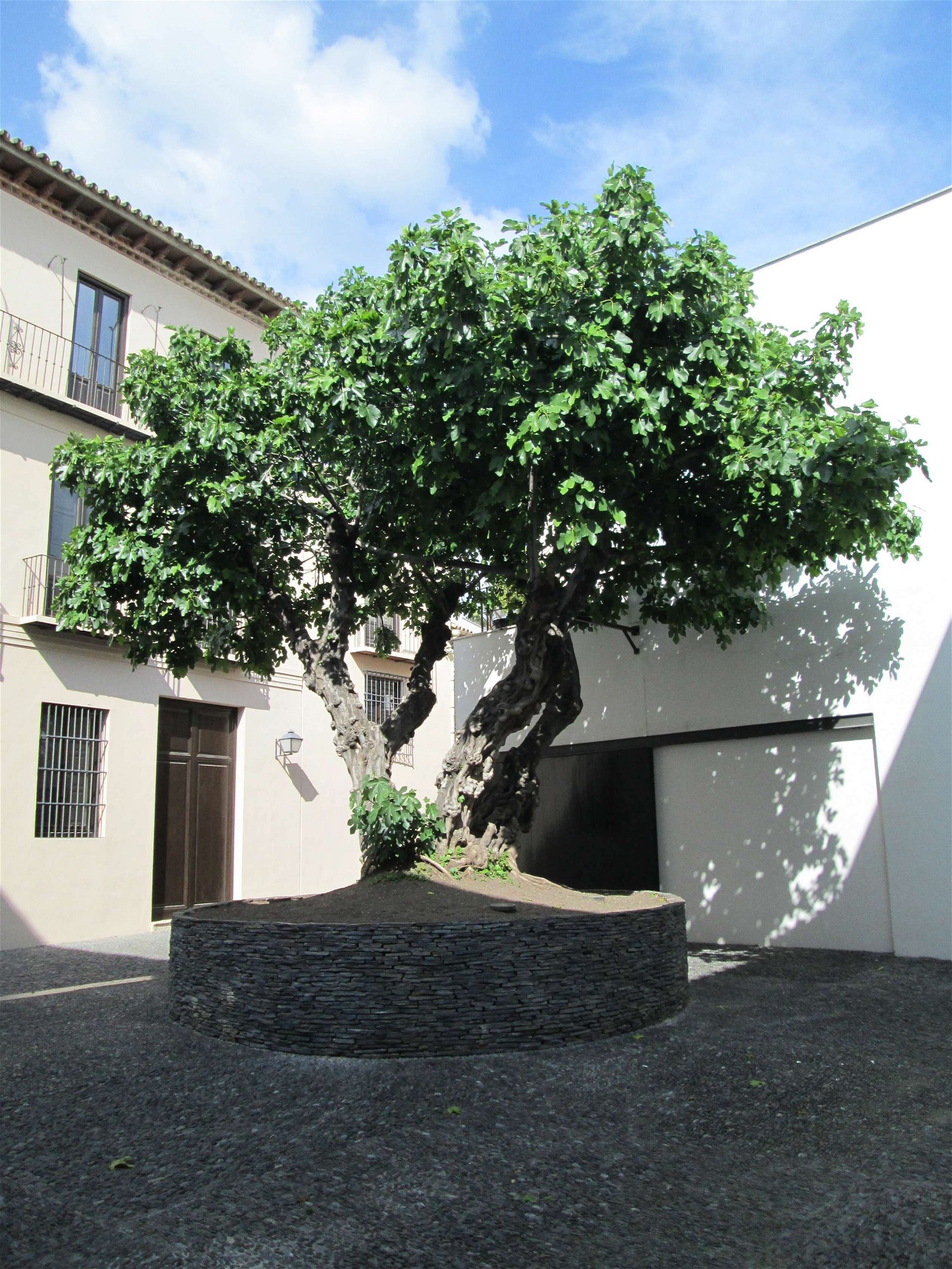 Museo Picasso Málaga