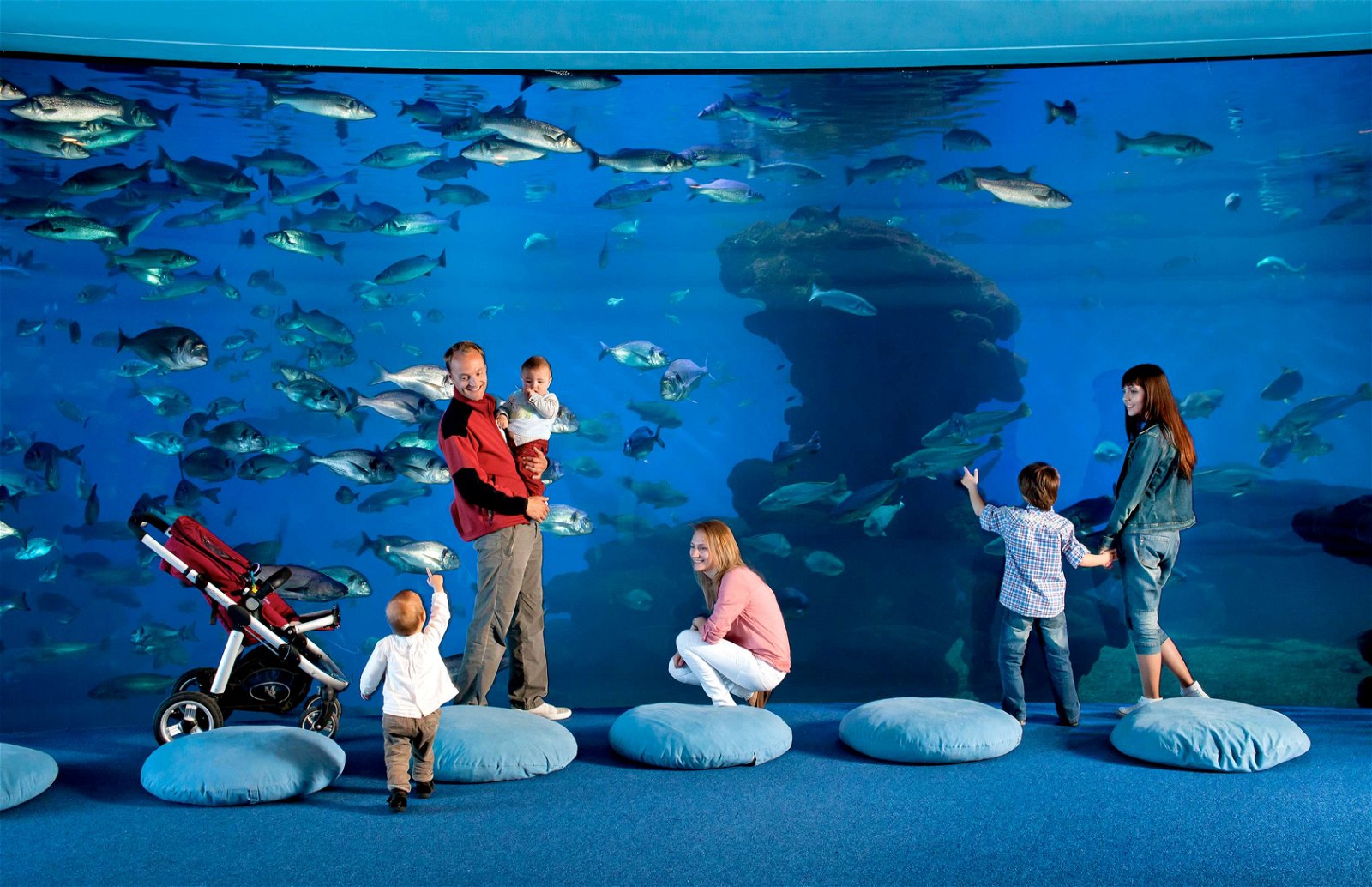 Palma Aquarium
