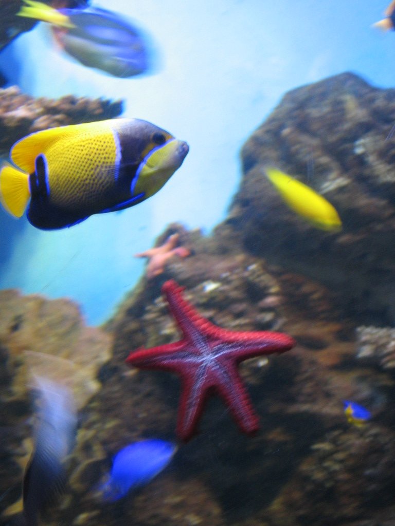 L’Aquàrium de Barcelona