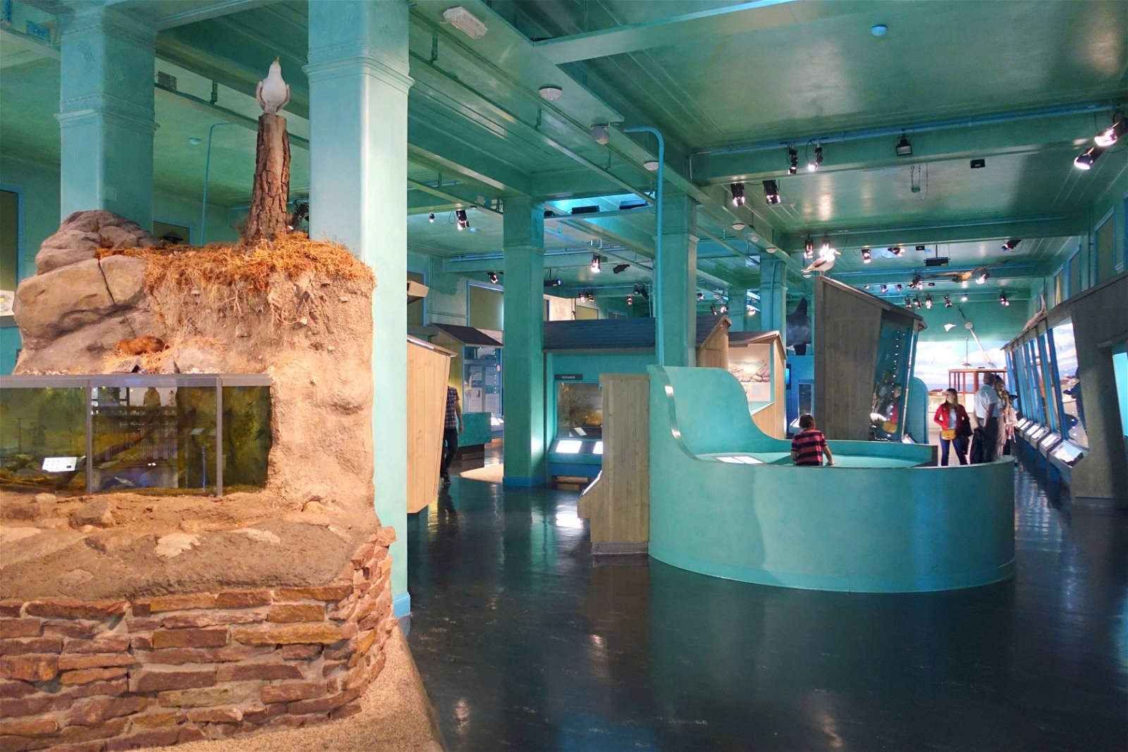 Swedish Museum of Natural History