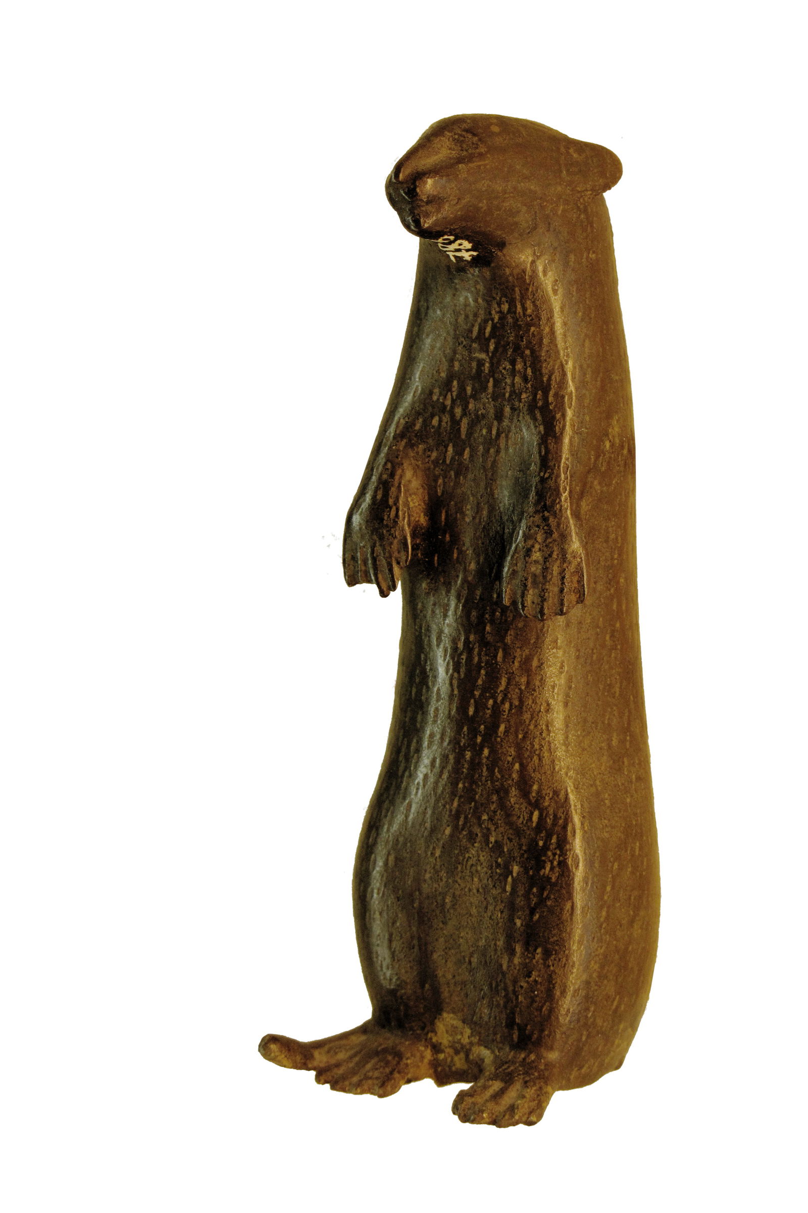 Musée d'archéologie méditerranéenne