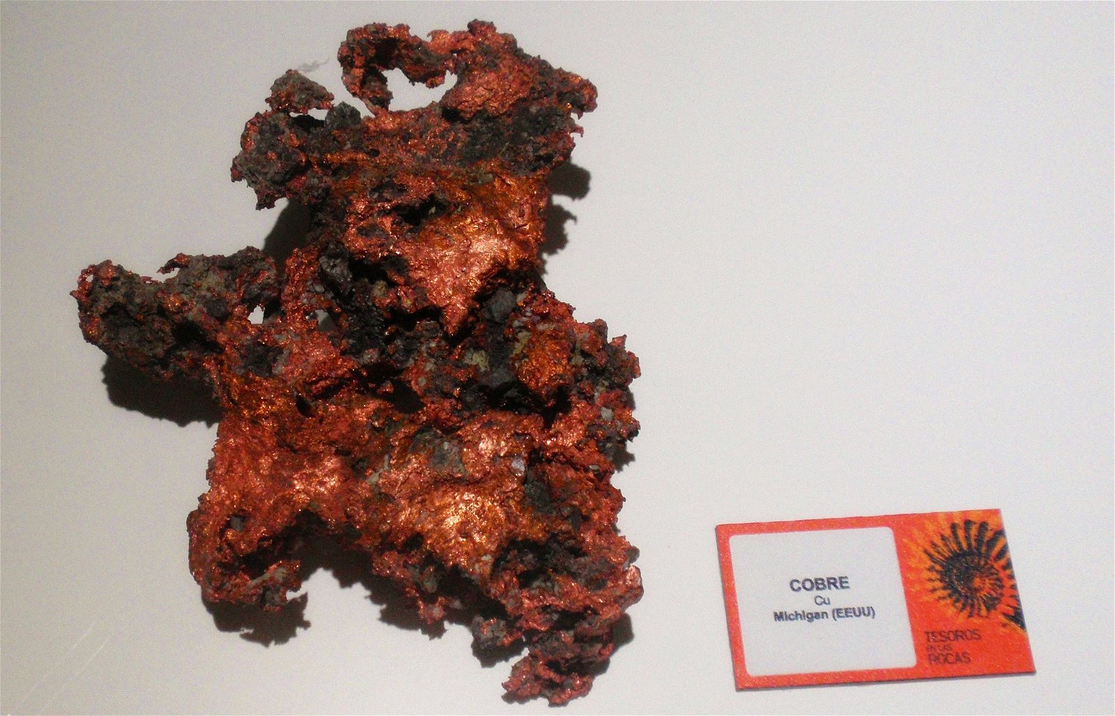 Museo Elder de la Ciencia y la Tecnología