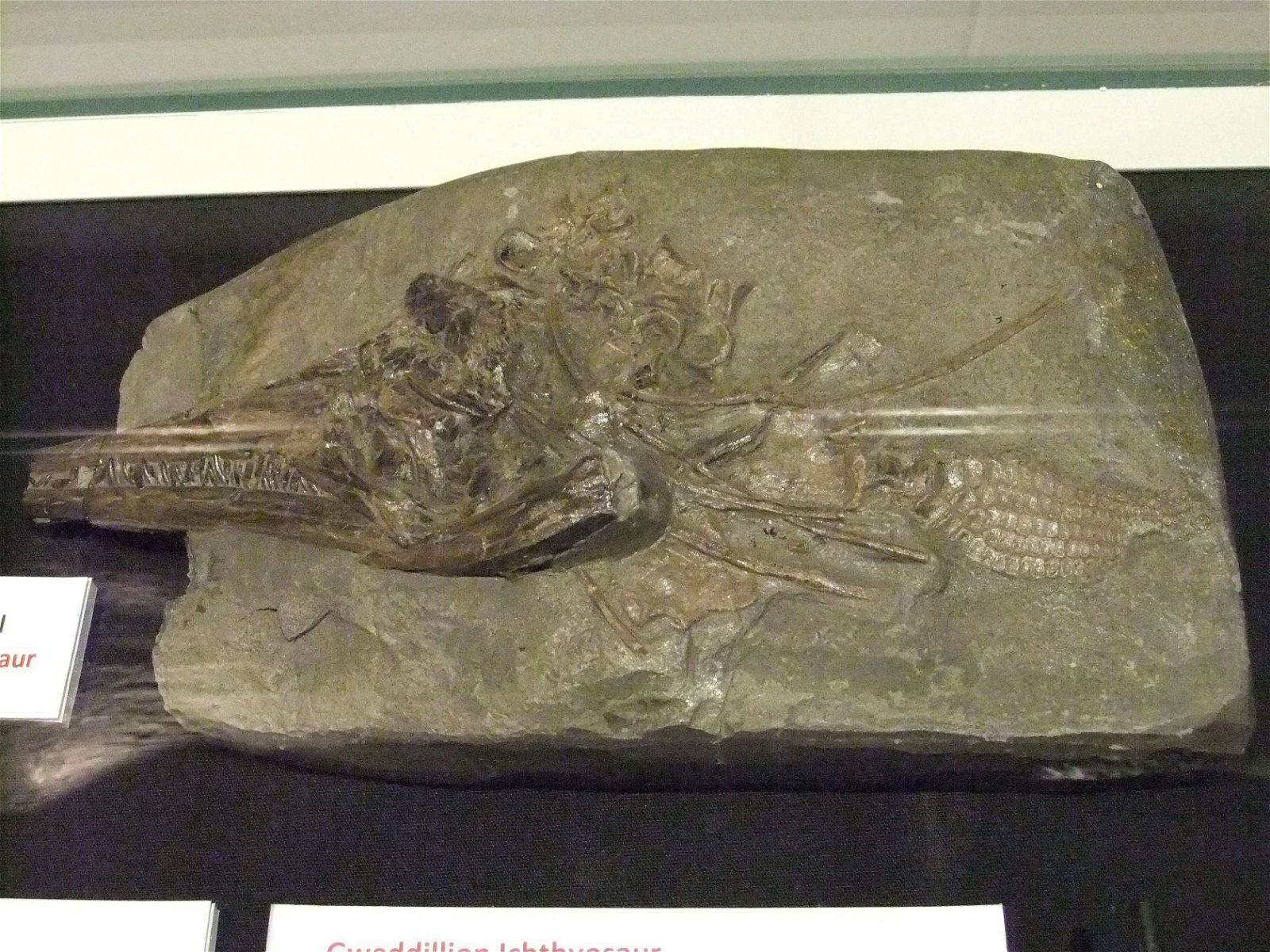 Wrexham County Borough Museum and Archives