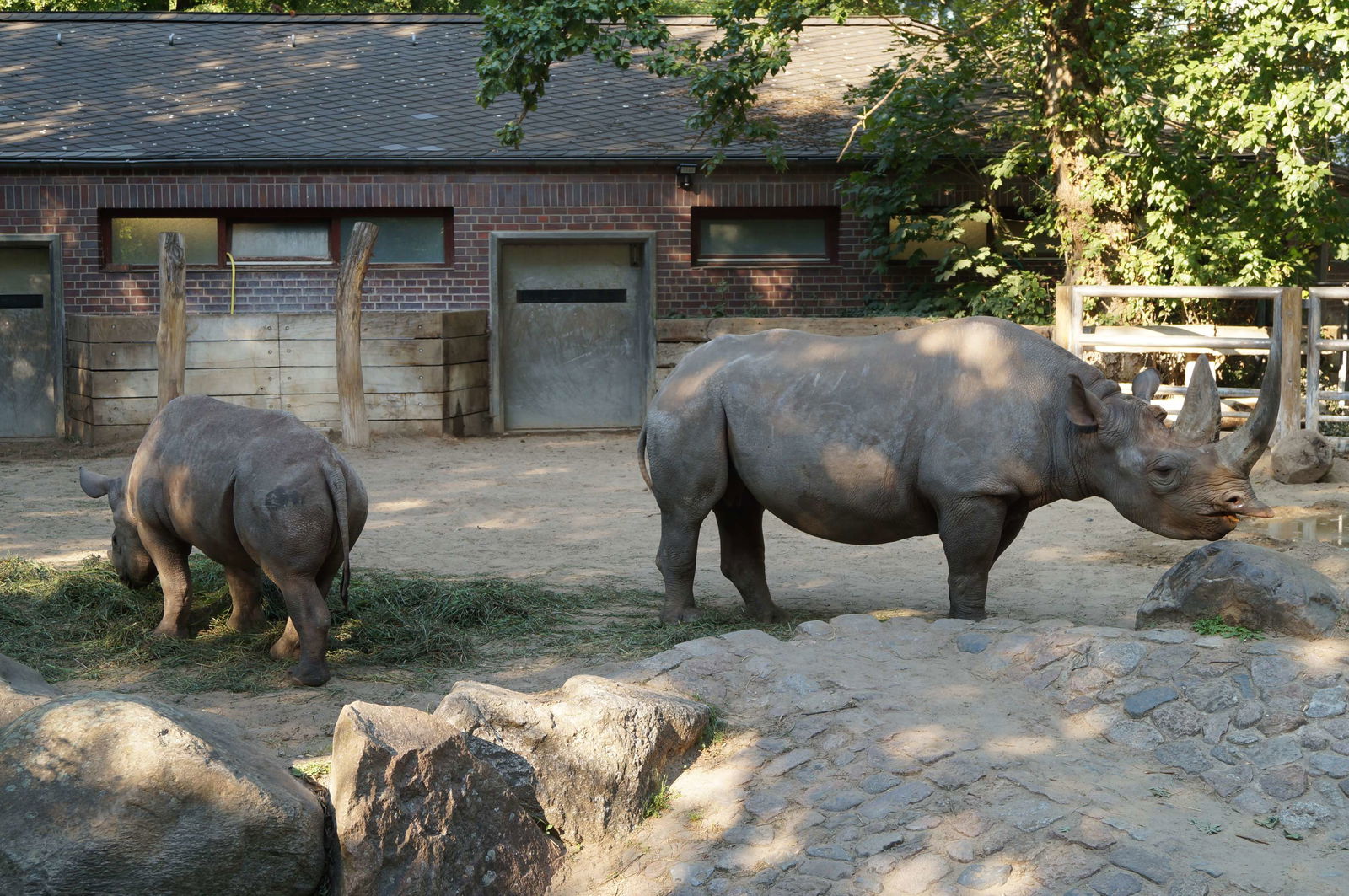 Zoologischer Garten Berlin