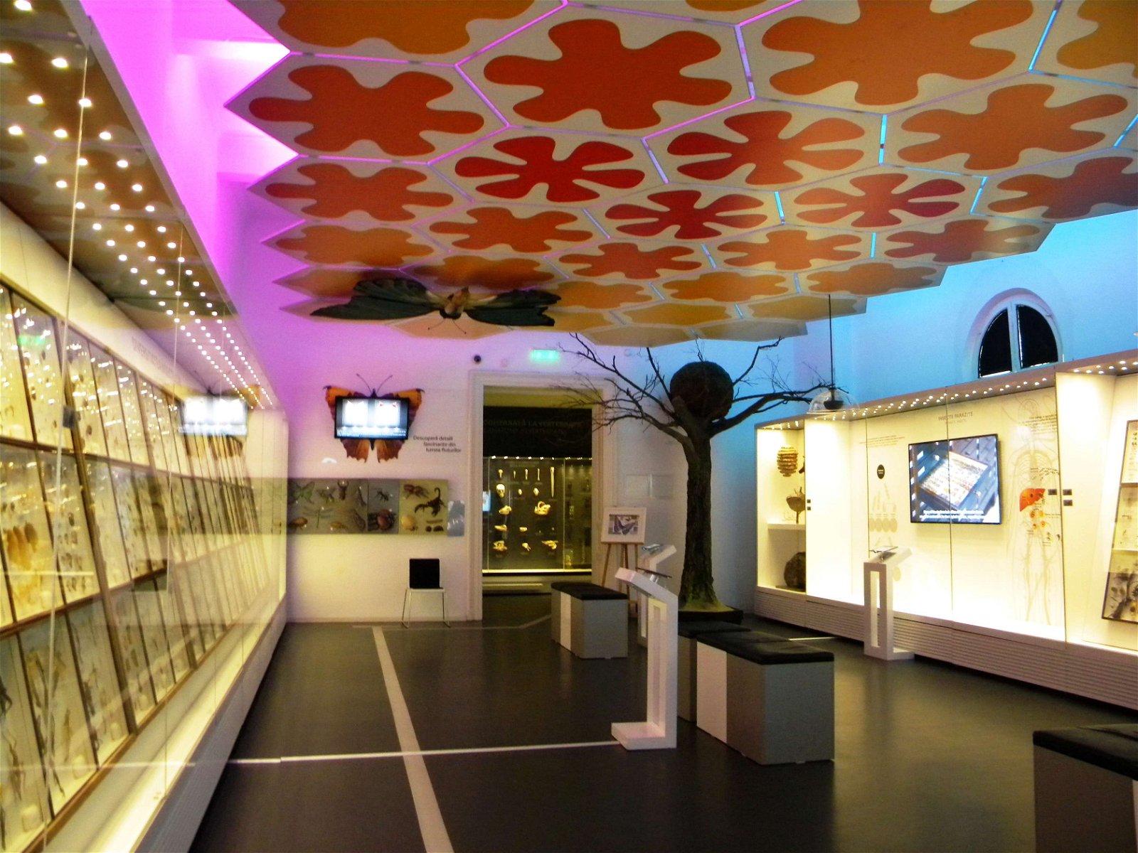 Grigore Antipa National Museum of Natural History