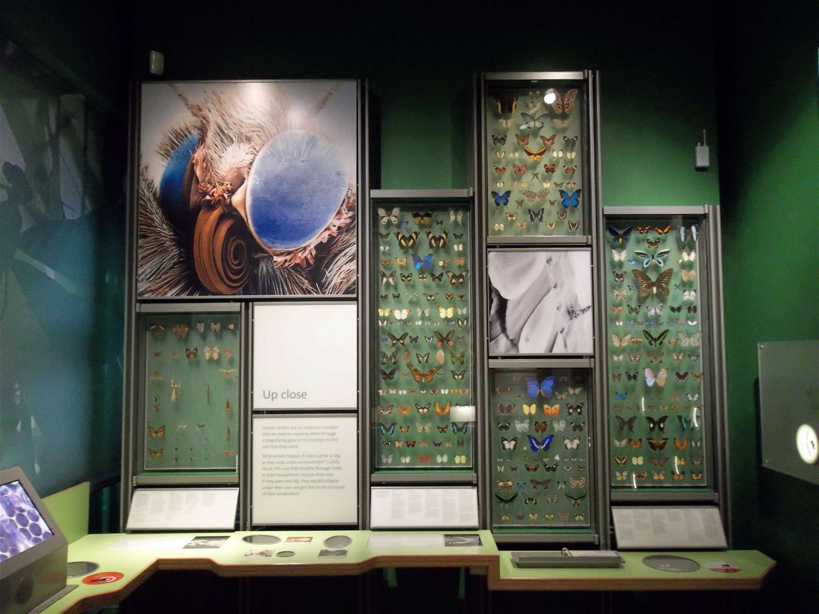 Royal Albert Memorial Museum and Art Gallery