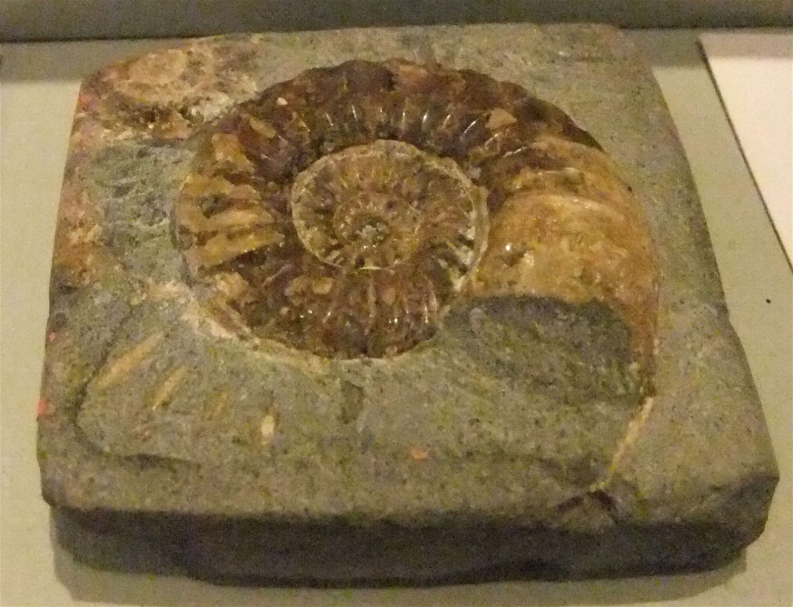 Wrexham County Borough Museum and Archives