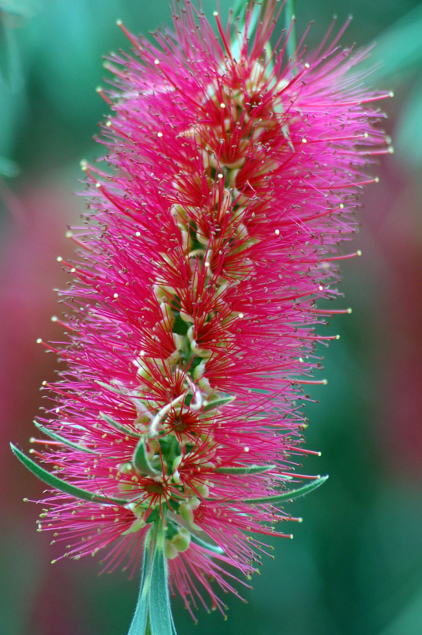 National Botanic Garden of Wales
