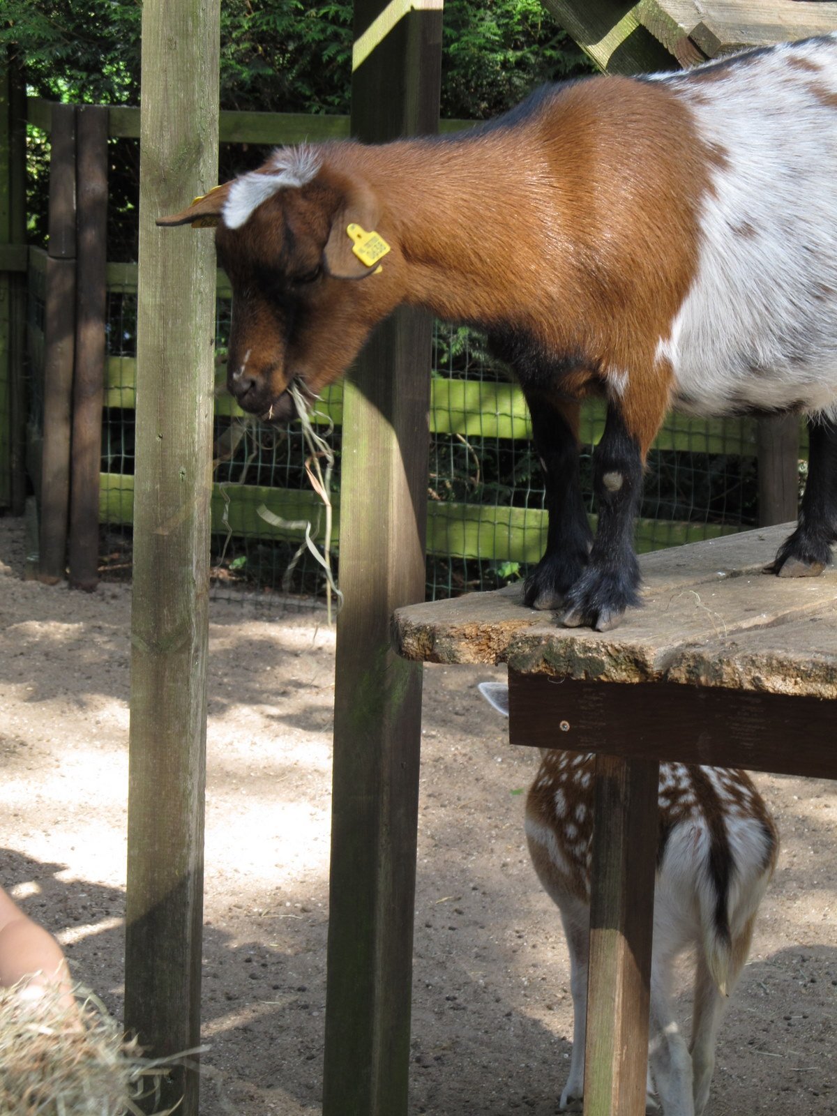 Familiepark Harry Malter