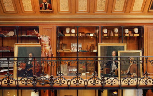 Musée d’histoire de la médecine