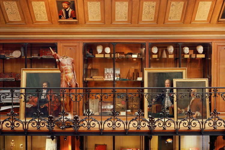 Musée d’histoire de la médecine