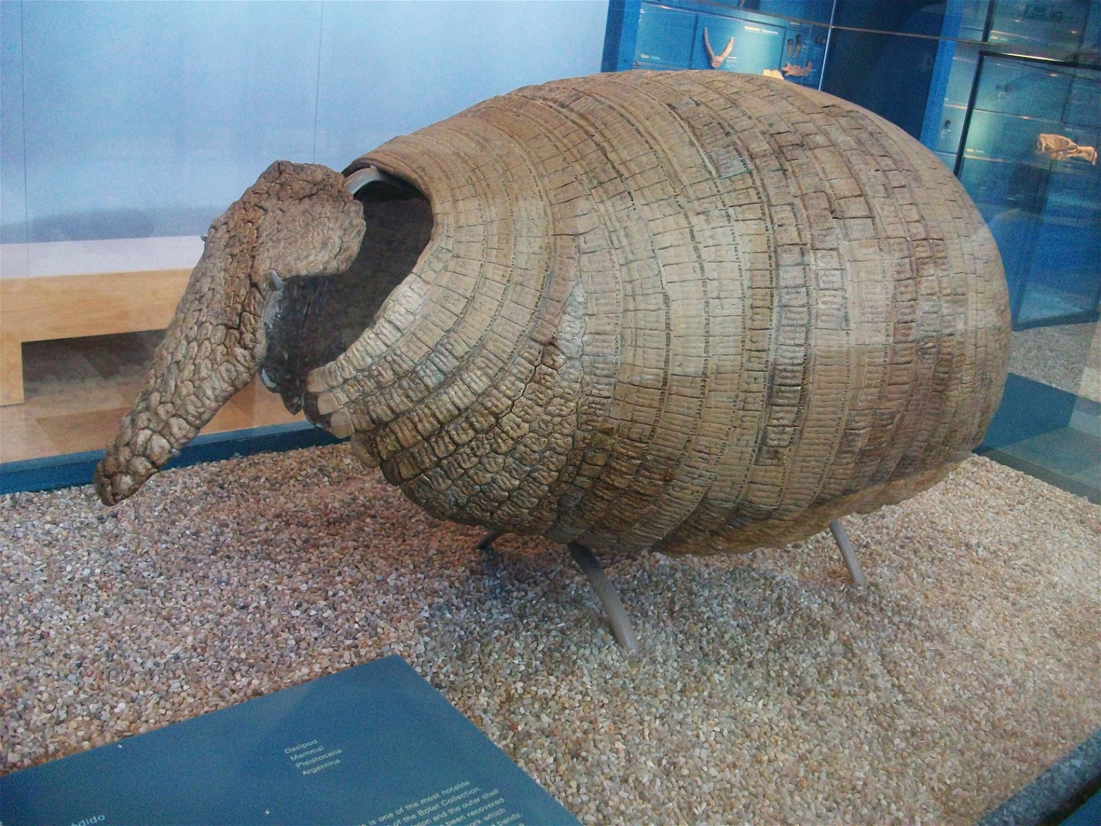 Museo de Ciencias Naturales