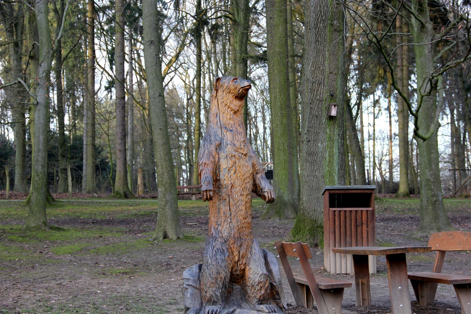 Wildpark im Grafenberger Wald