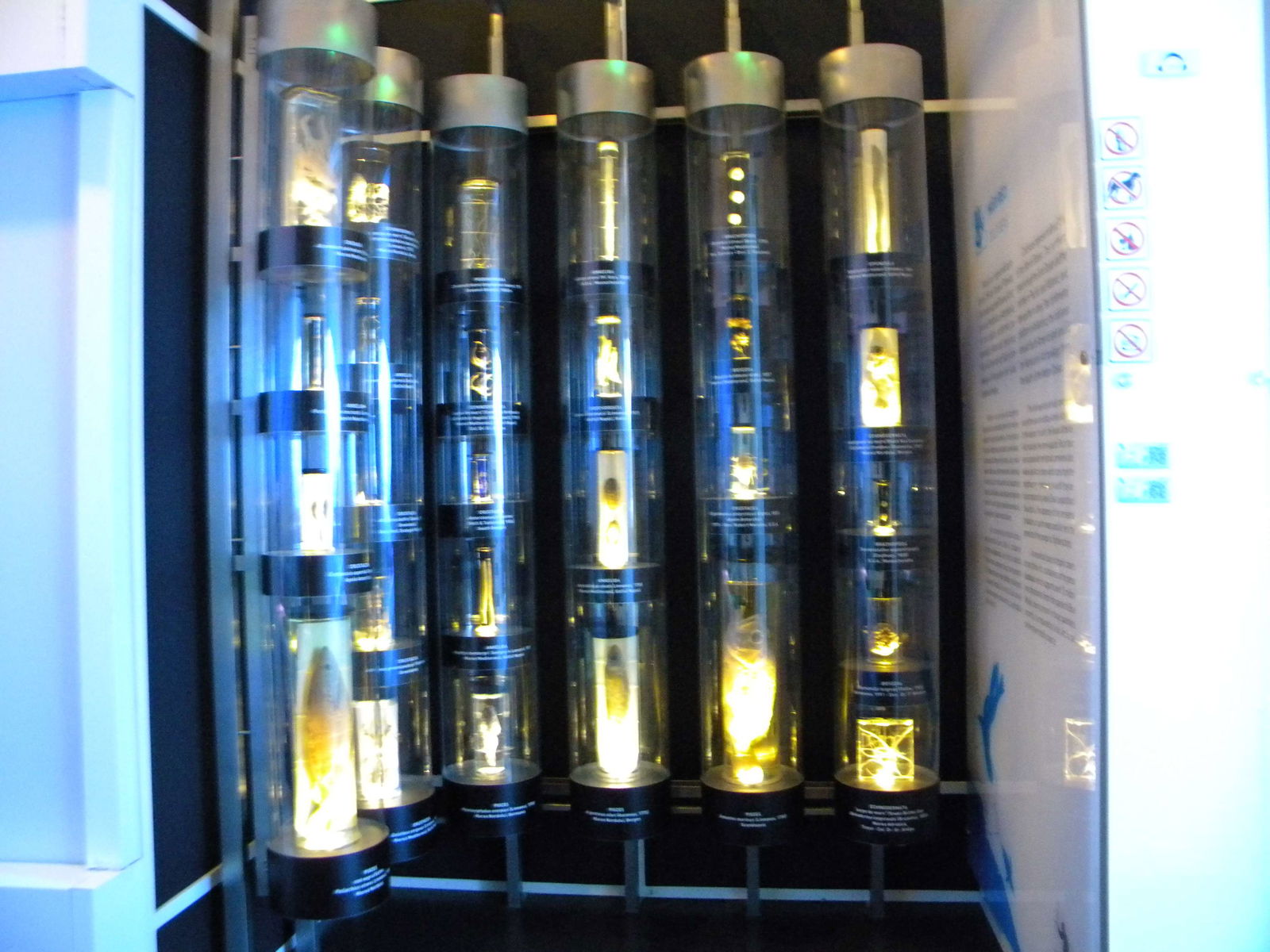 Grigore Antipa National Museum of Natural History