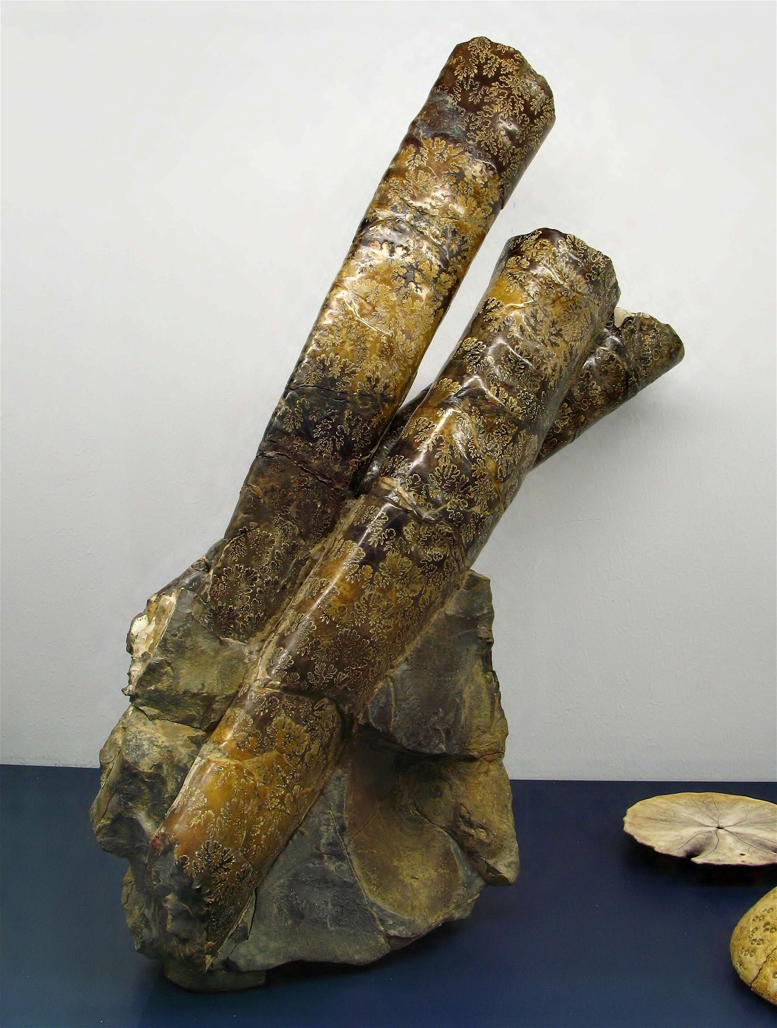 Mineralien-Museum Essen-Kupferdreh