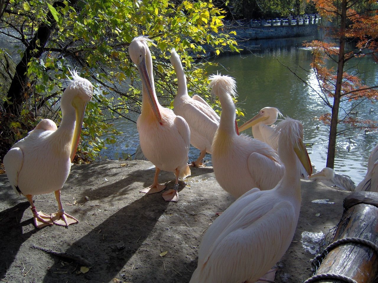 Budapest Zoo and Botanical Garden
