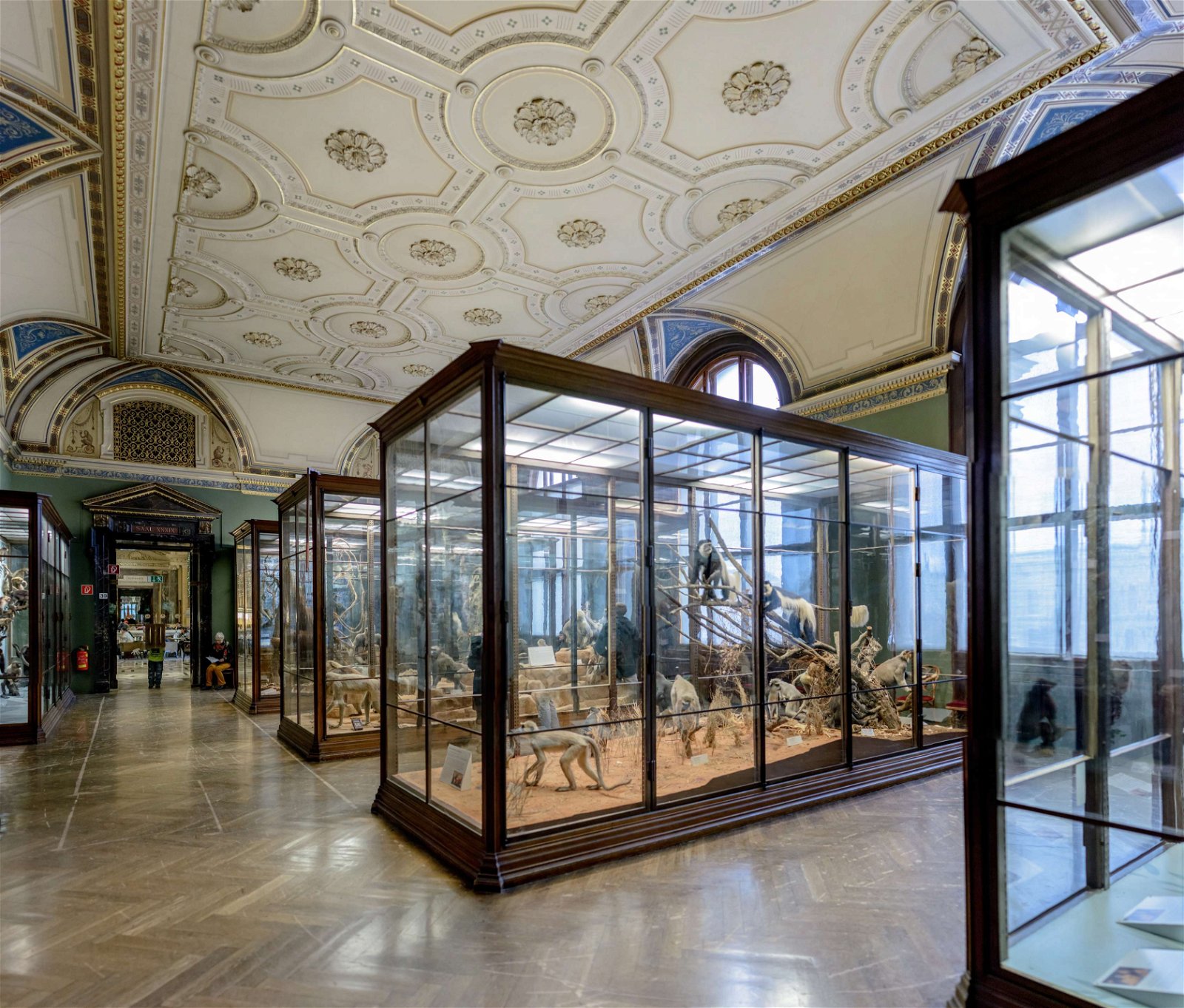 Natural History Museum