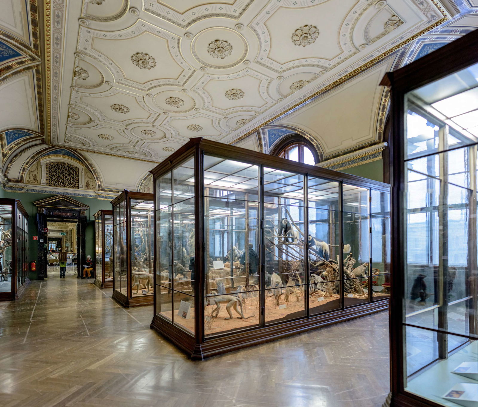 Natural History Museum