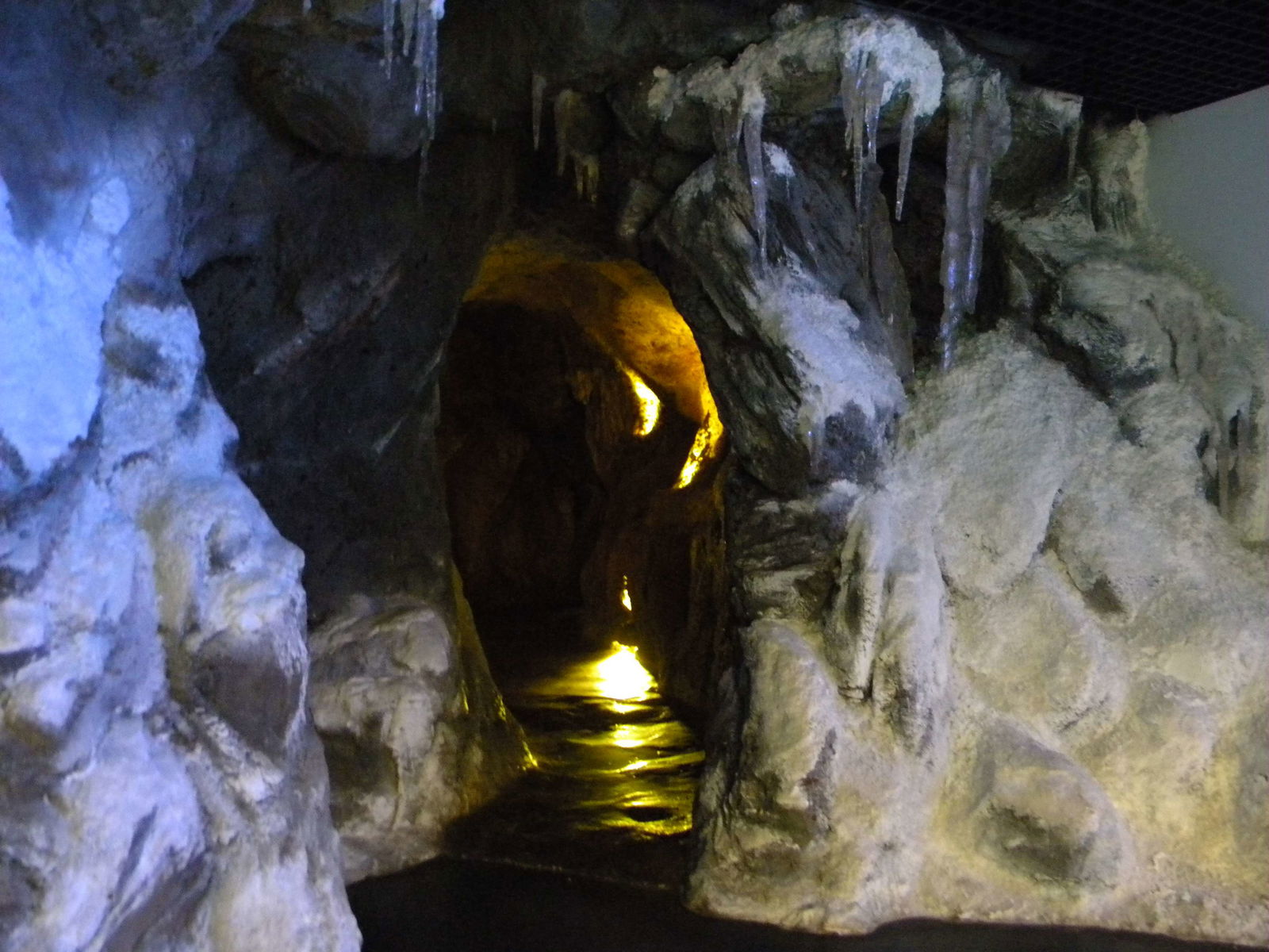 Grigore Antipa National Museum of Natural History