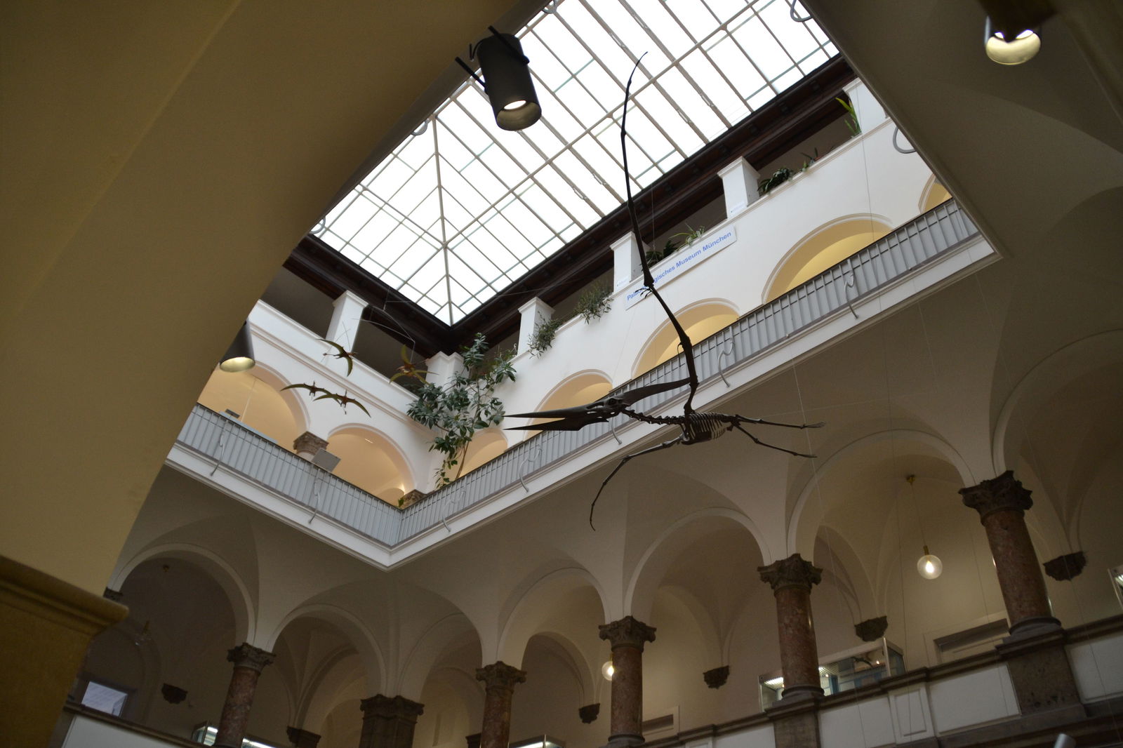 Paläontologische Museum Munchen