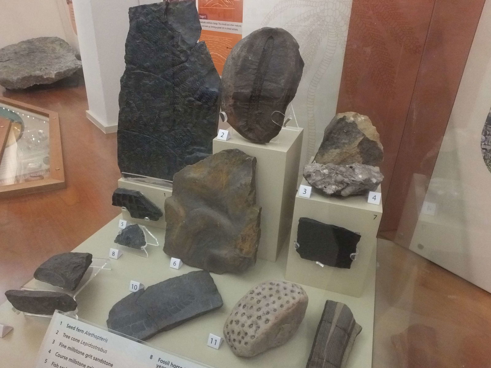 Clitheroe Castle Museum