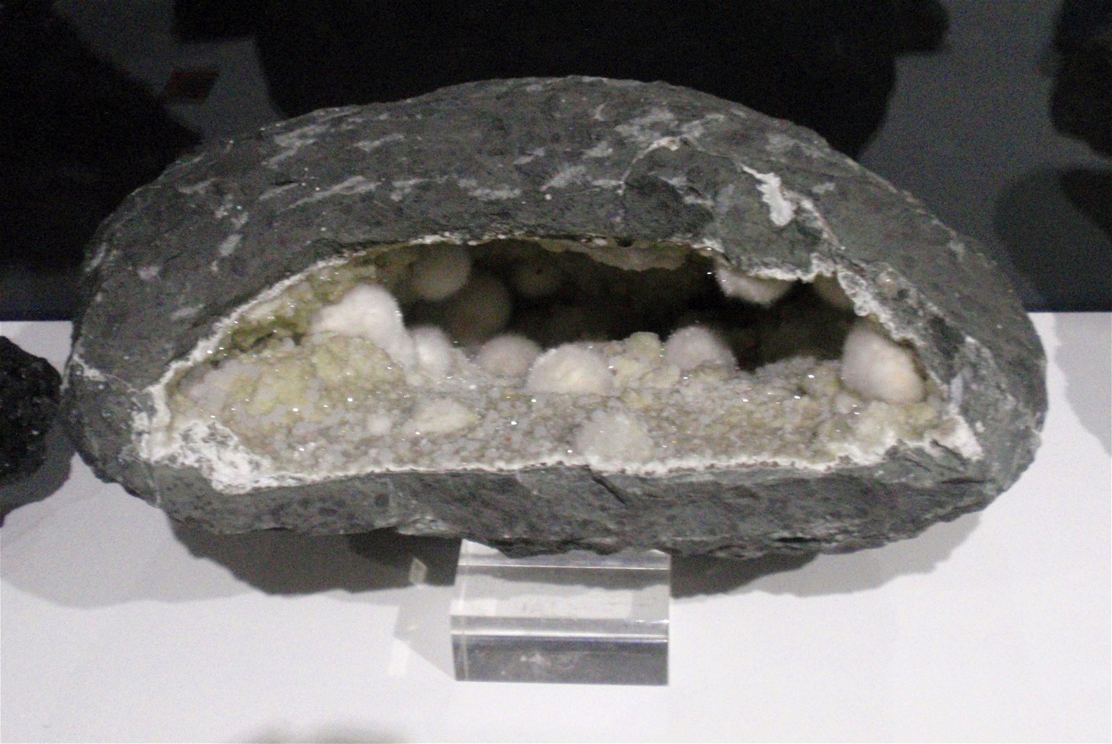 Museo Elder de la Ciencia y la Tecnología