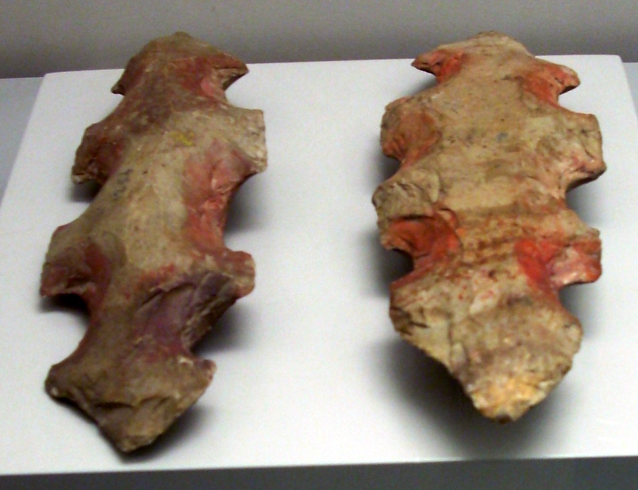 Museum of the Americas