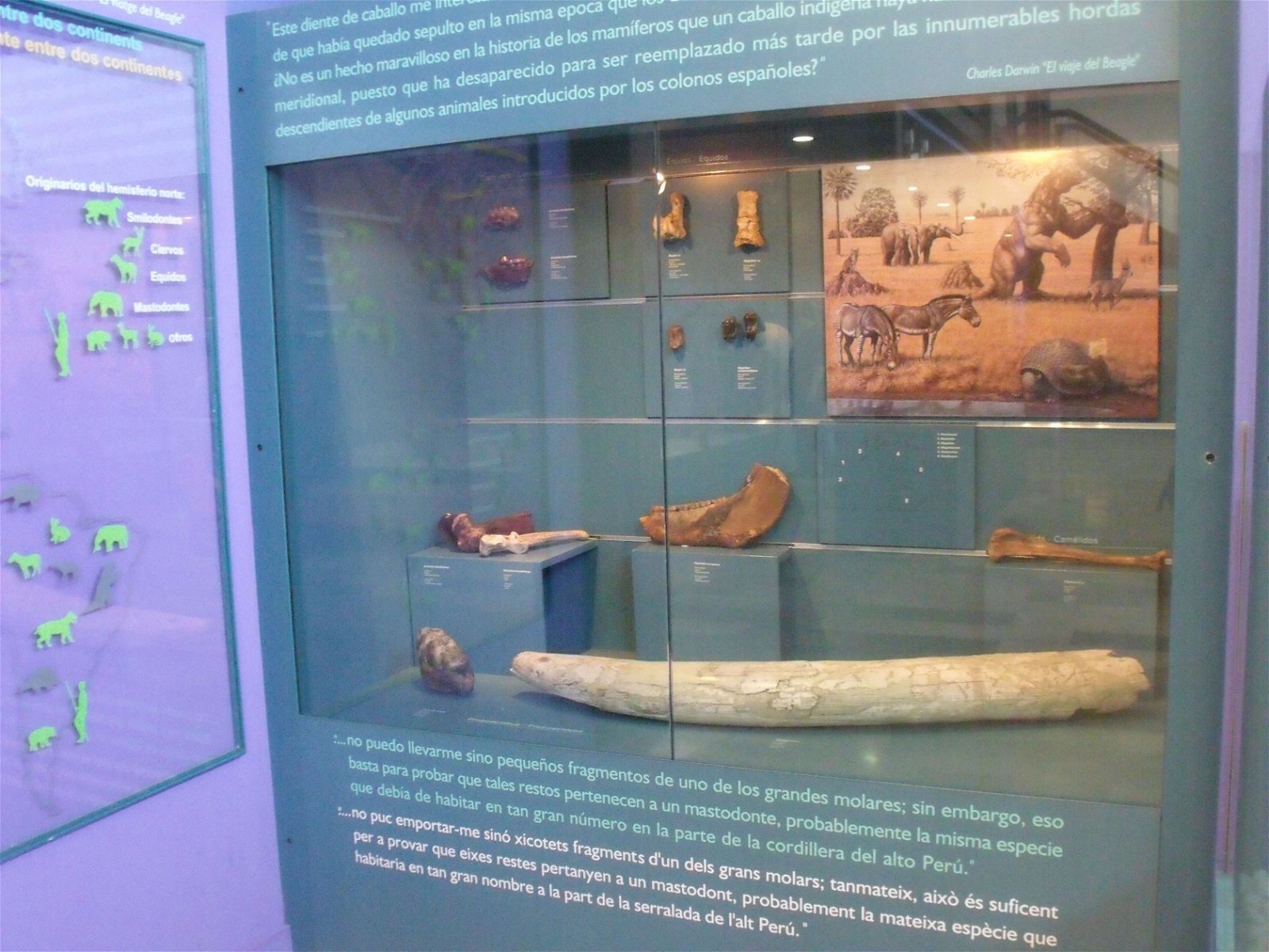 Museo de Ciencias Naturales