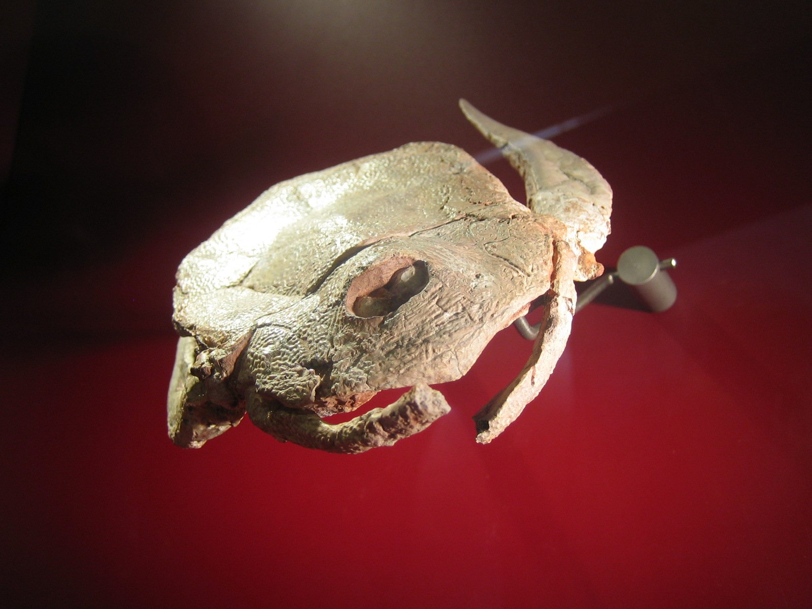 CosmoCaixa Barcelona