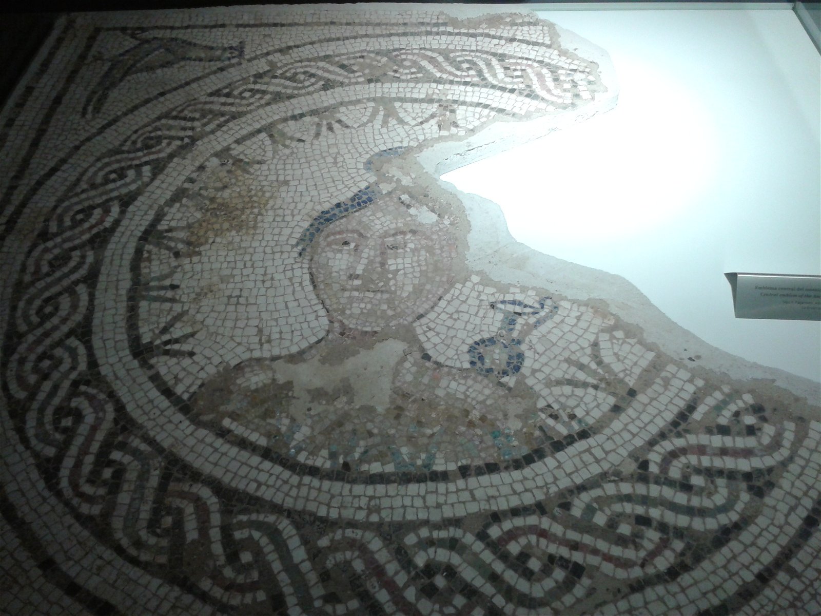 Antiquarium de Sevilla