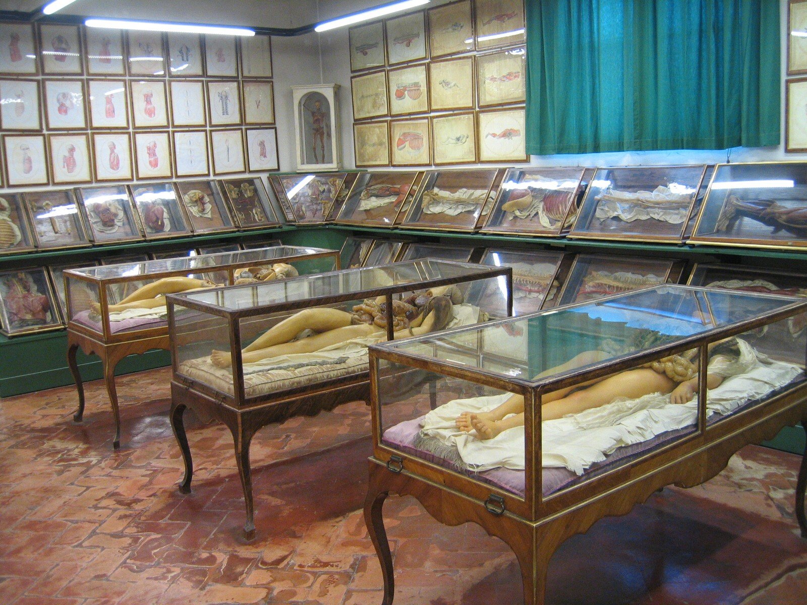 La Specola - Museum of Zoology and Natural History