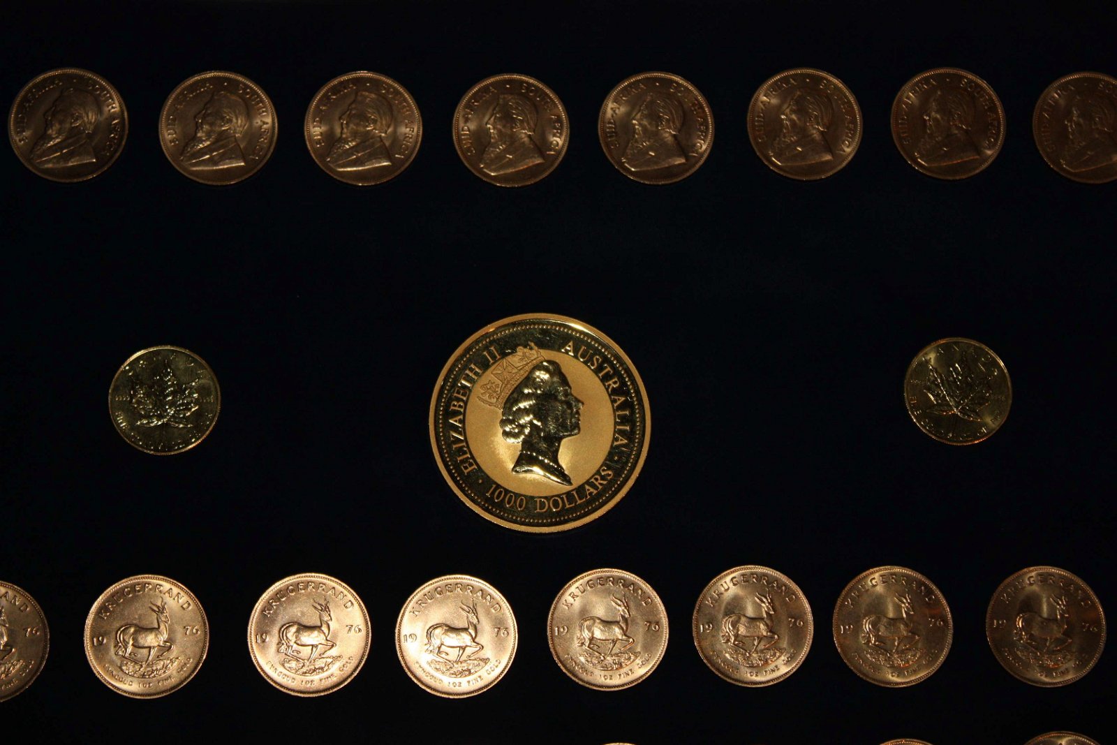 National History Museum