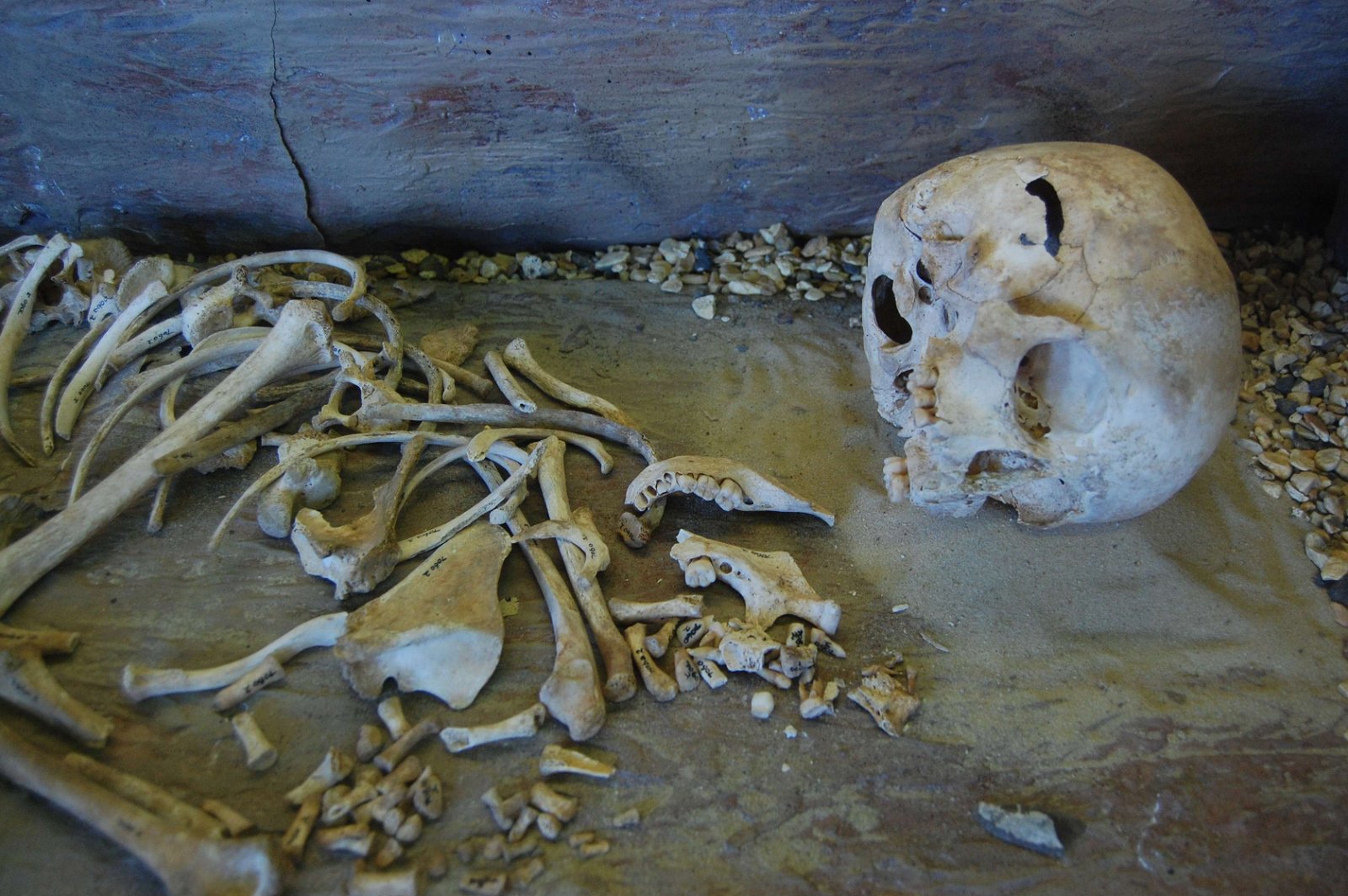 Leominster Museum Herefordshire