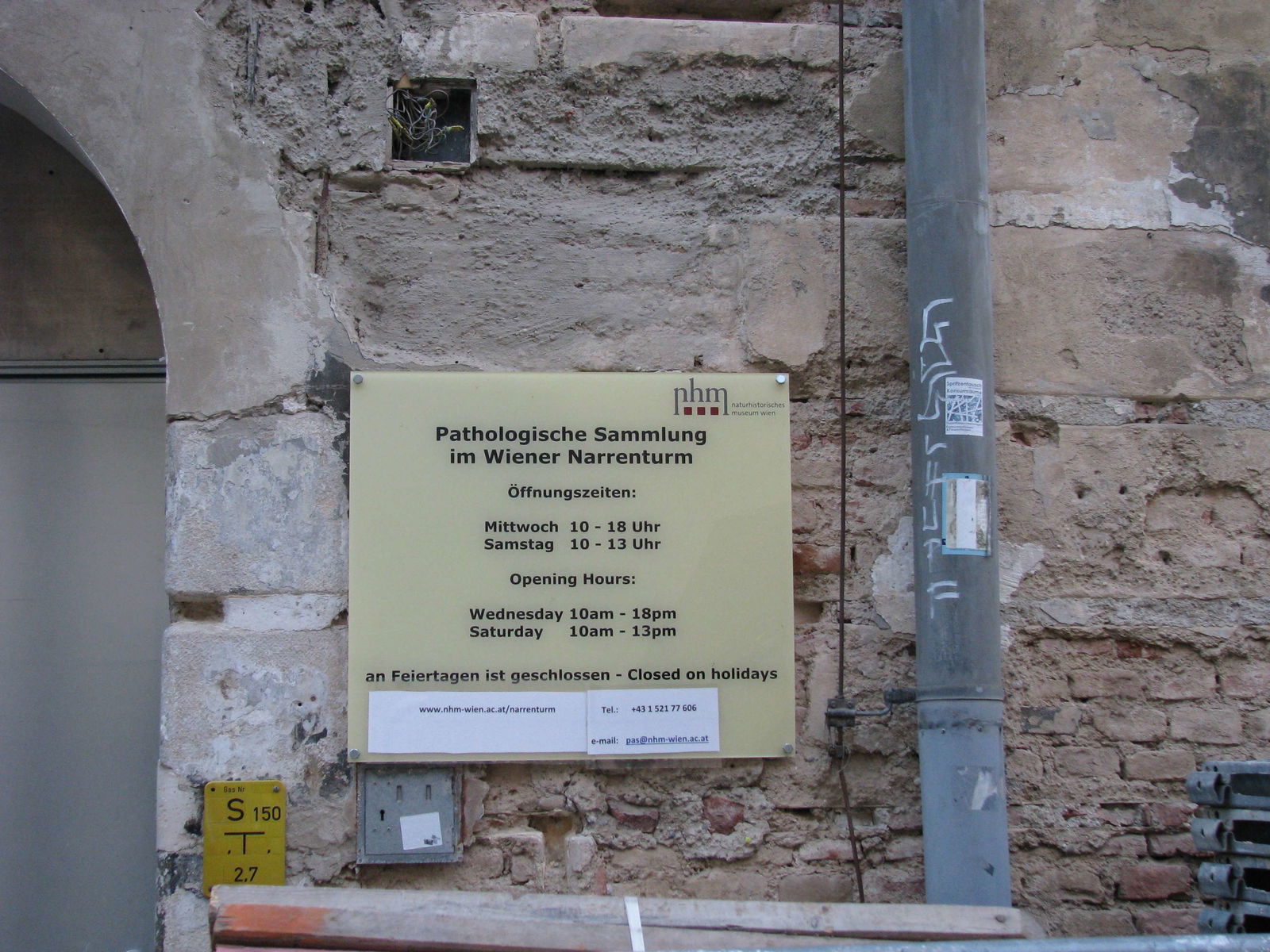 Pathologisch-anatomische Sammlung im Narrenturm - nhm