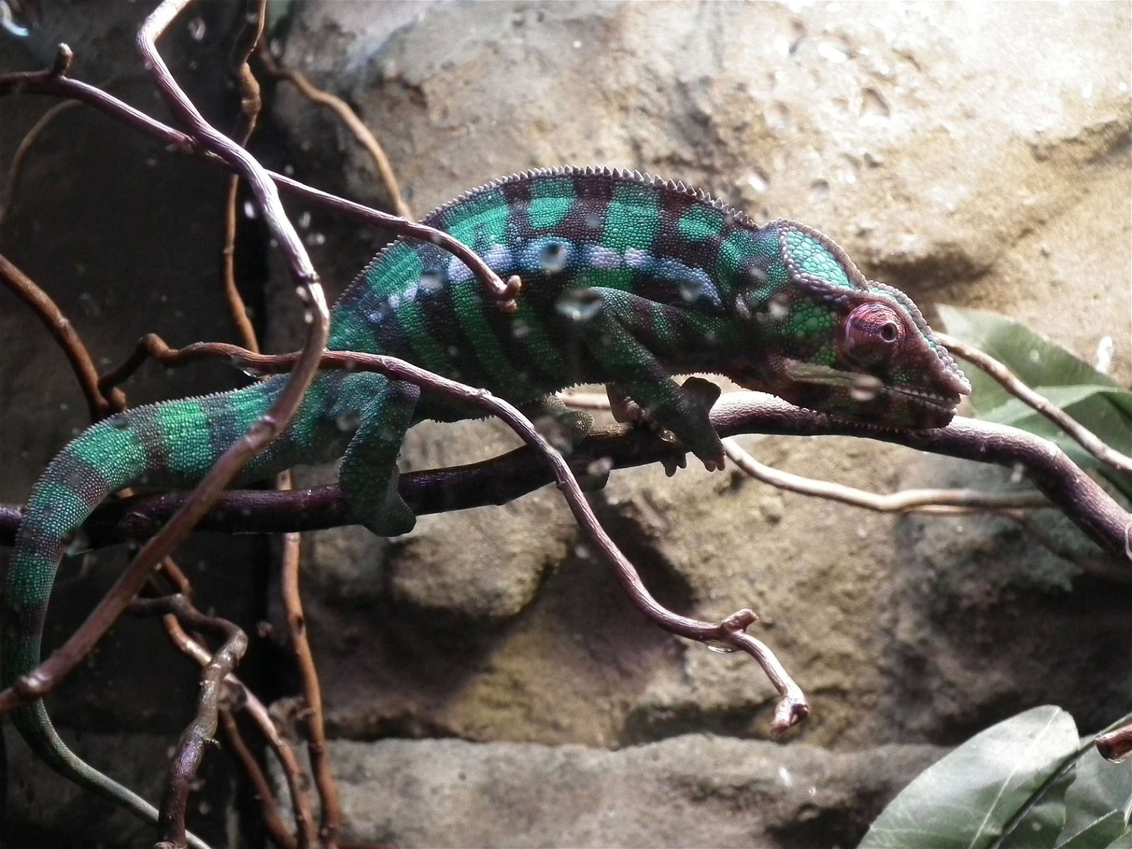 Aquarium and Museum of Natural History in Krakow