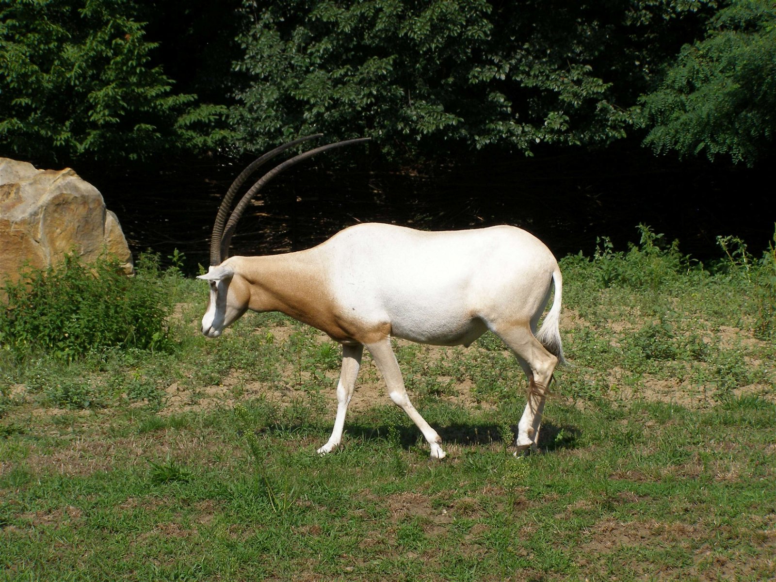 Wroclaw Zoo & Africarium