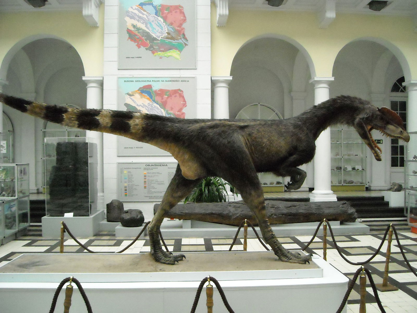 Geological Museum of the Polish Geological Institute