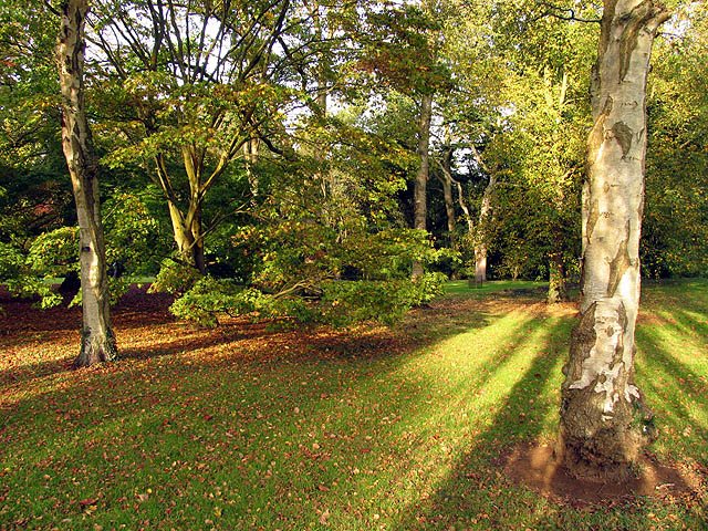Westonbirt Arboretum