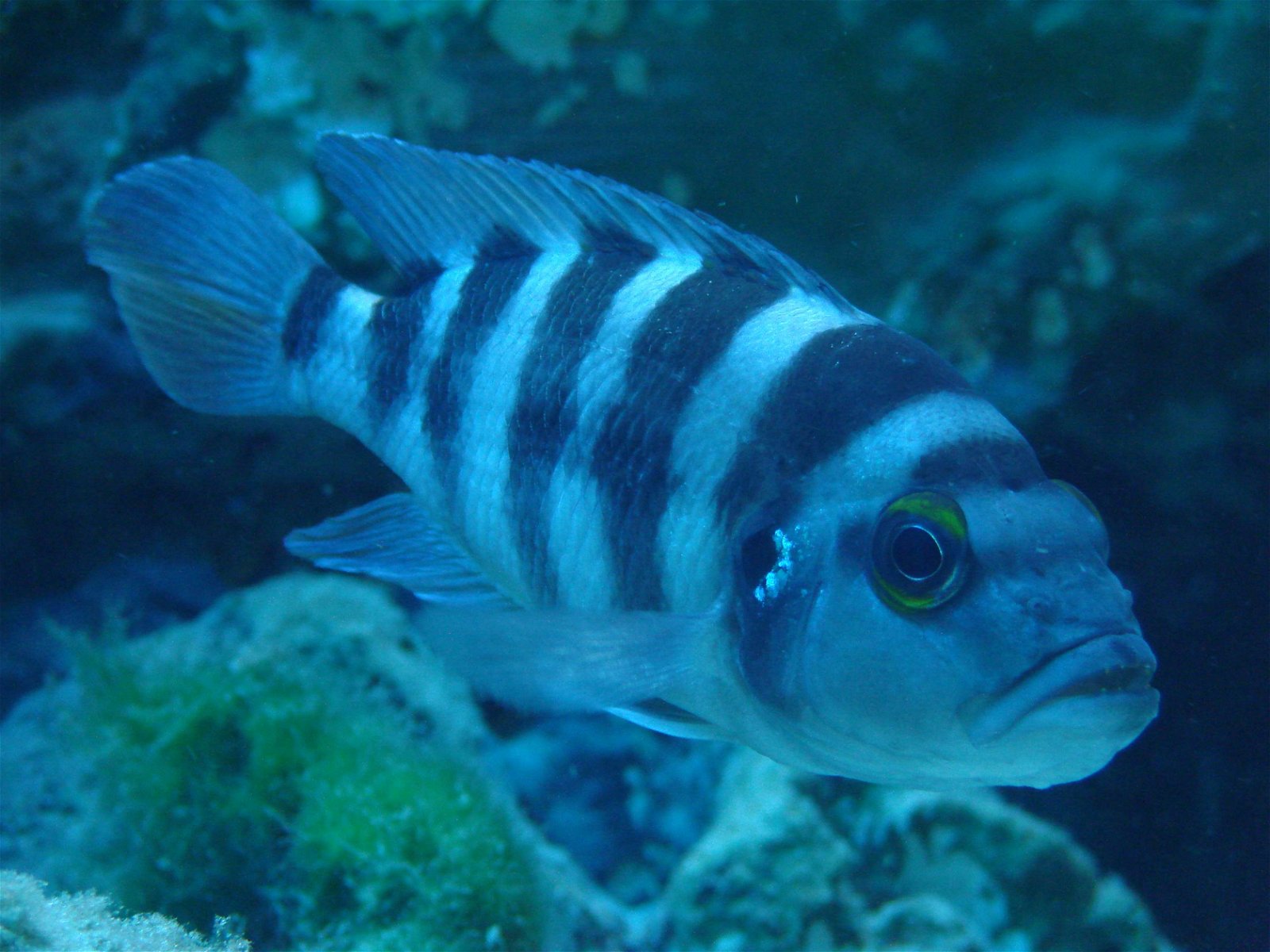 Wroclaw Zoo & Africarium