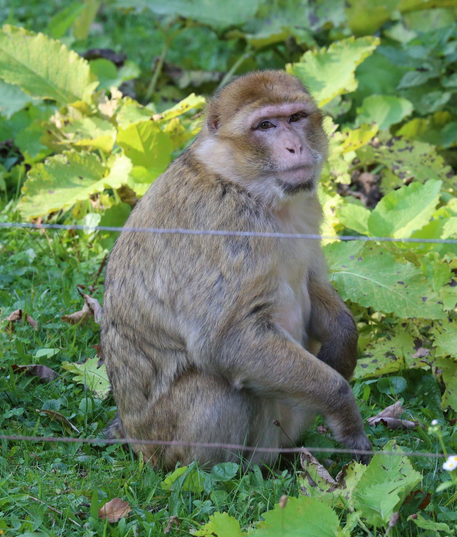 Tiergarten Nürnberg