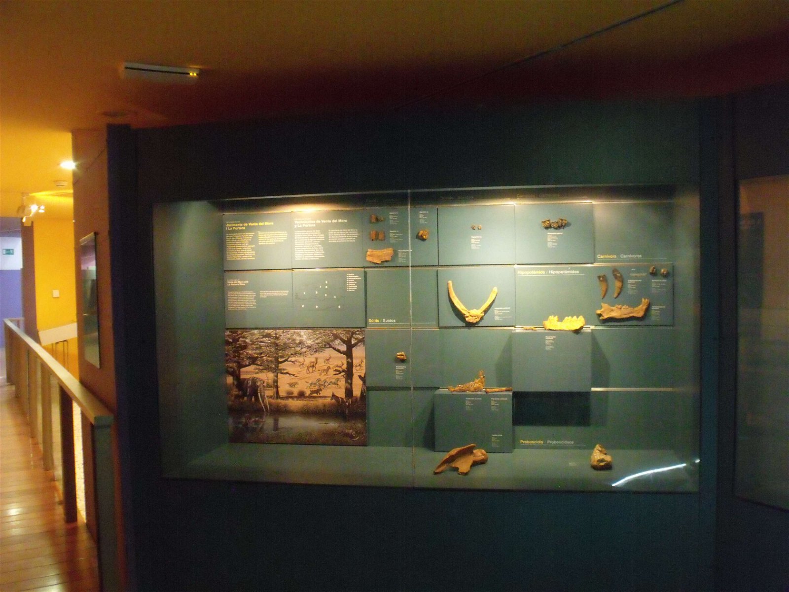 Museo de Ciencias Naturales