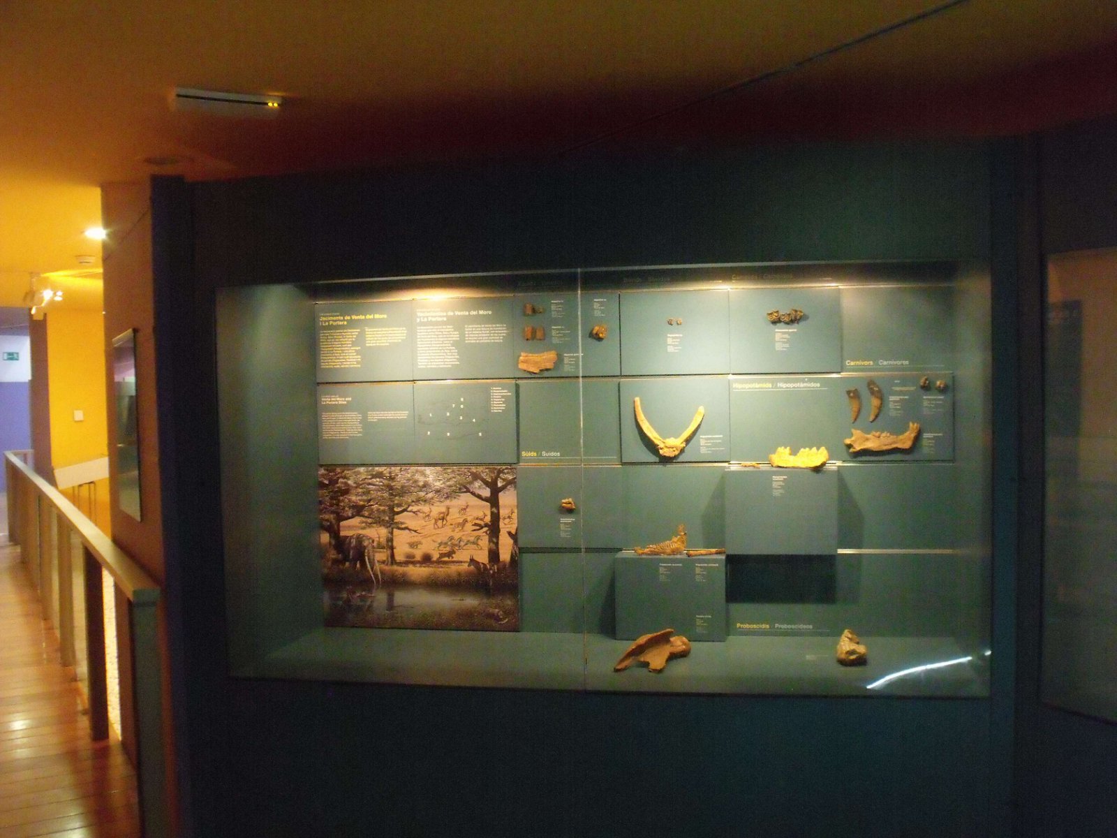 Museum of Natural Science