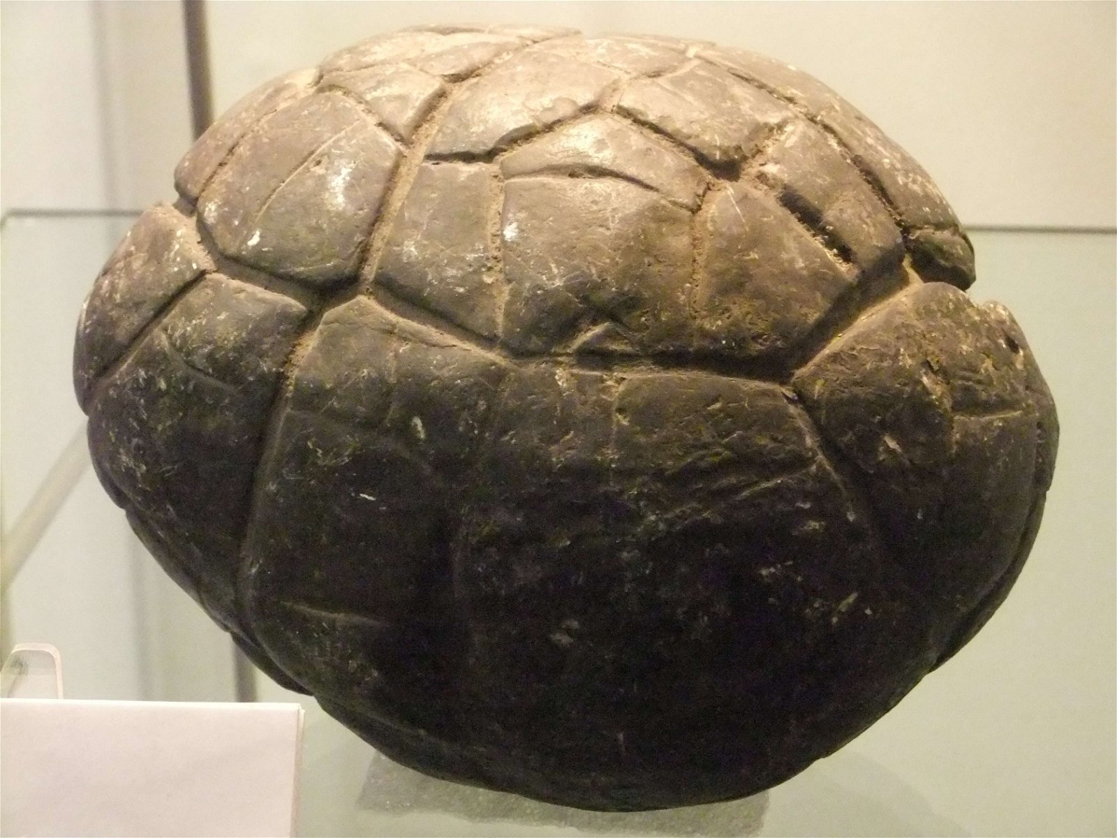 Wrexham County Borough Museum and Archives