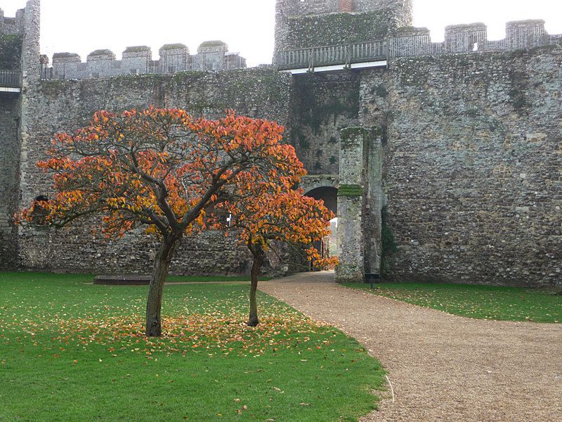 Framlingham Castle