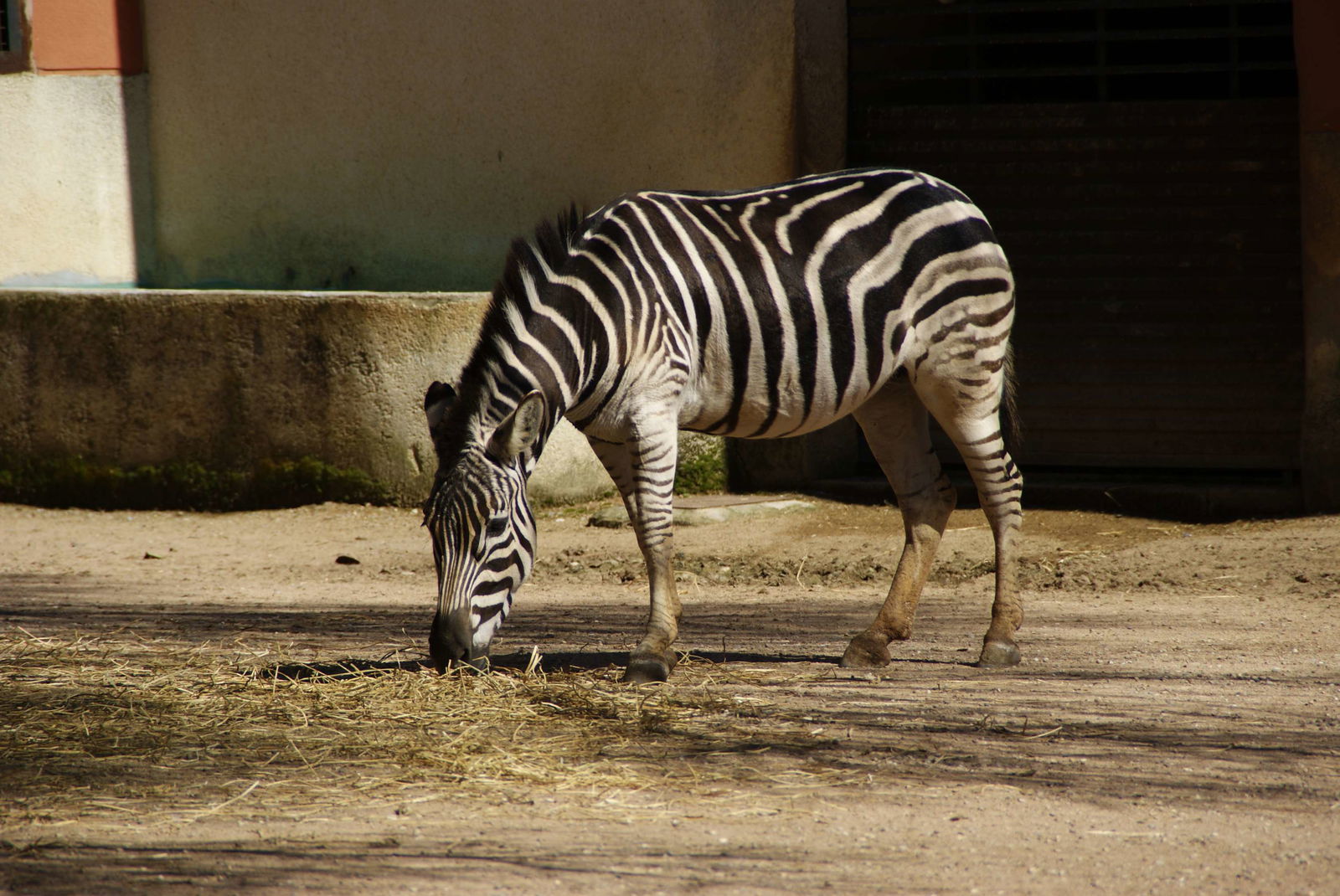 Zoo de Córdoba