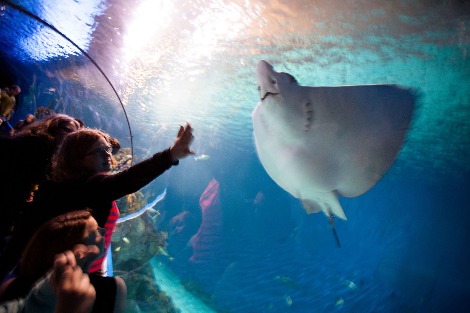 National Aquarium Denmark