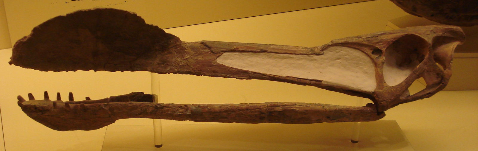 Museum Mensch und Natur