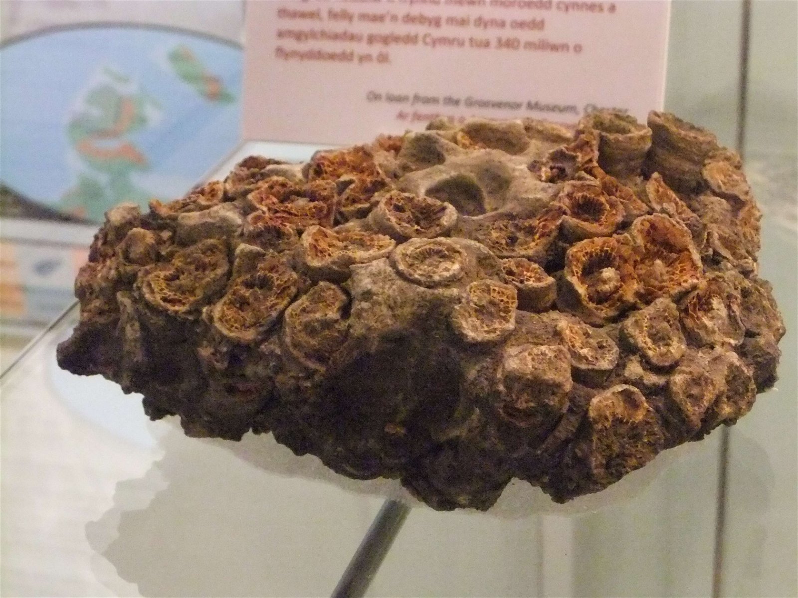 Wrexham County Borough Museum and Archives