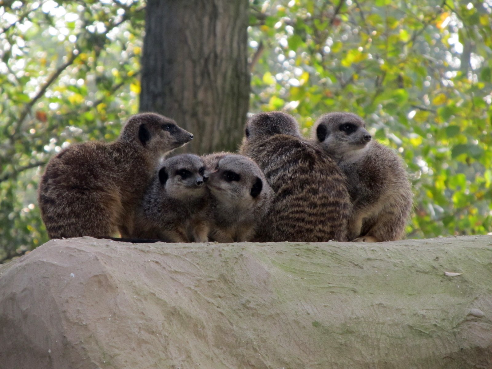 Familiepark Harry Malter