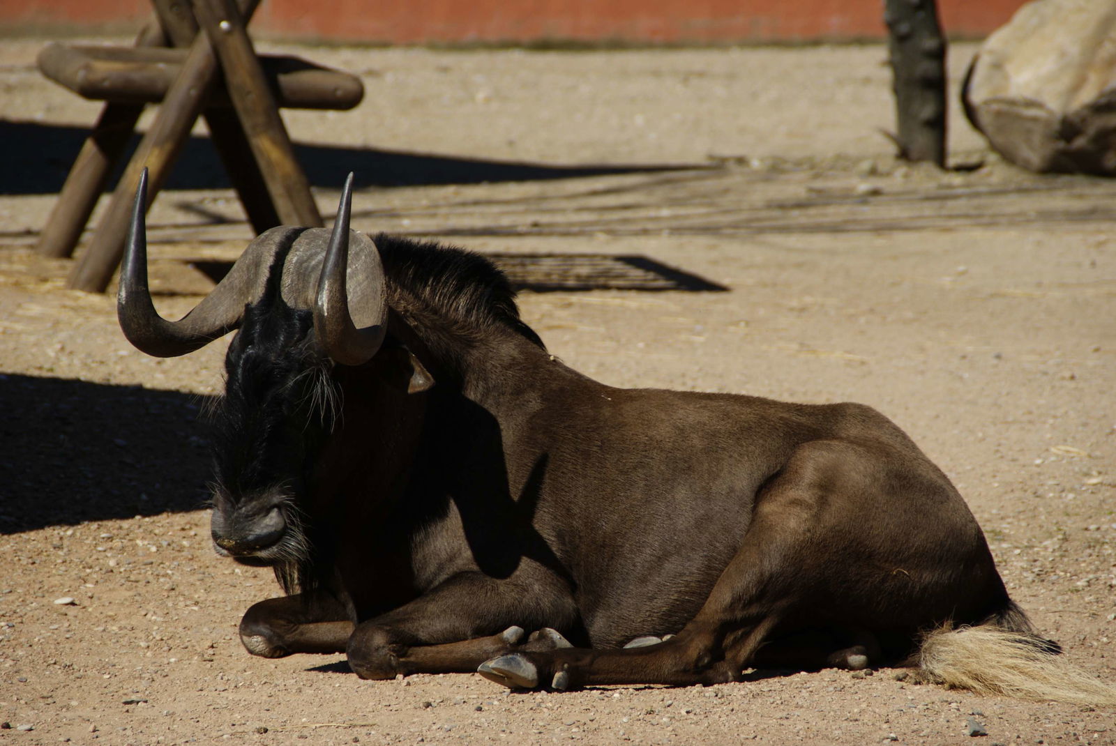 Zoo de Córdoba